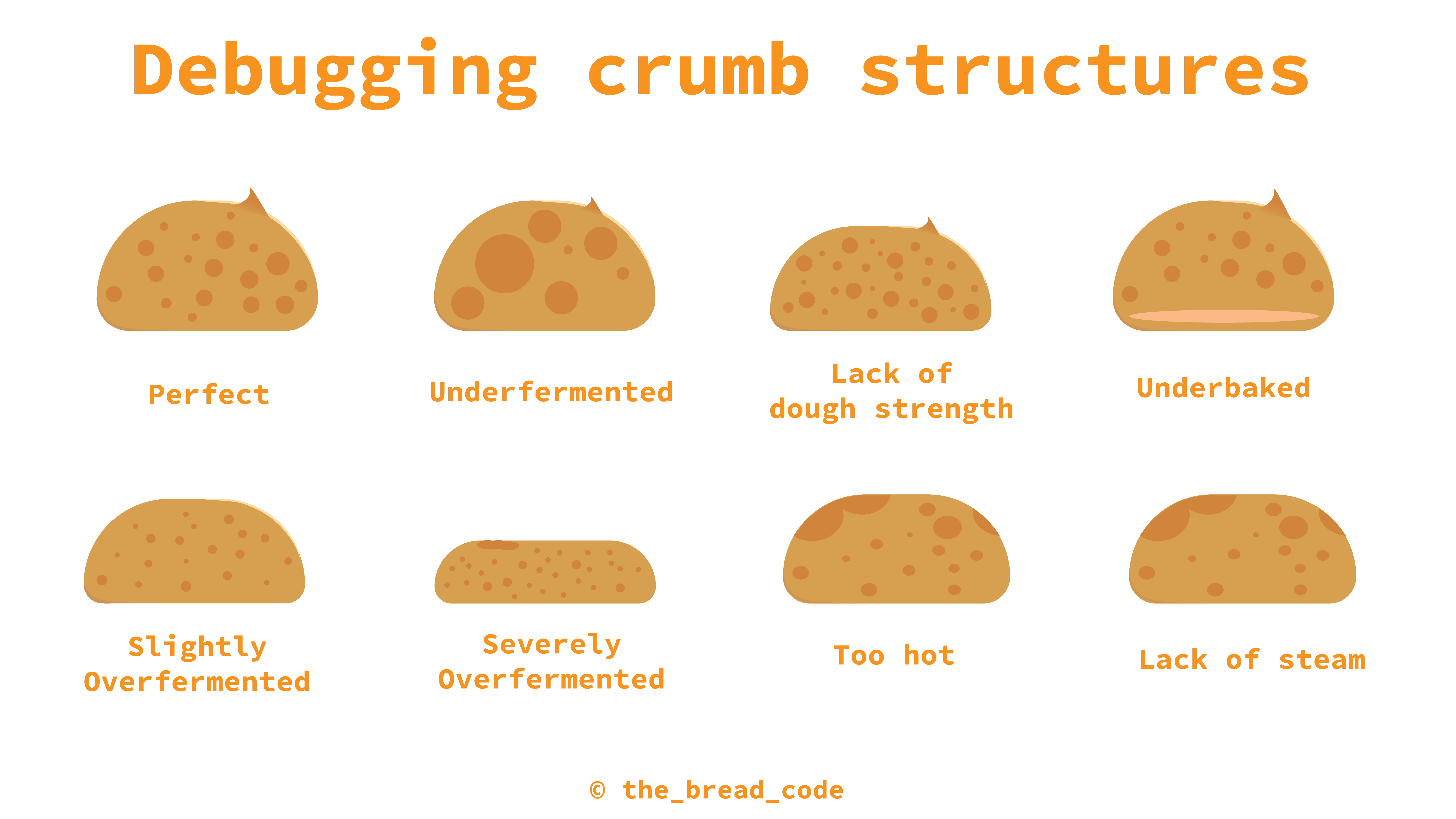 Debugging Your Sourdough Crumb