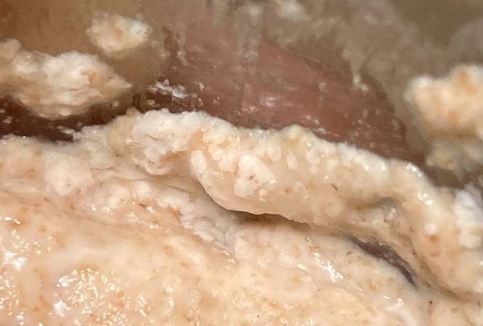 Is my sourdough starter moldy? : r/Sourdough